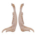 Real Gemsbok Mandible - Single