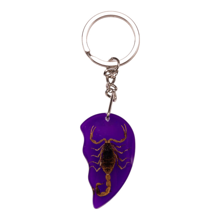 Real Scorpion Friendship Keychain in Acrylic - Single