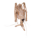 Real Straw-colored Fruit Bat Skeleton - Dried