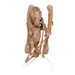 Real Straw-colored Fruit Bat Skeleton - Dried