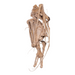 Real Straw-colored Fruit Bat Skeleton - Dried