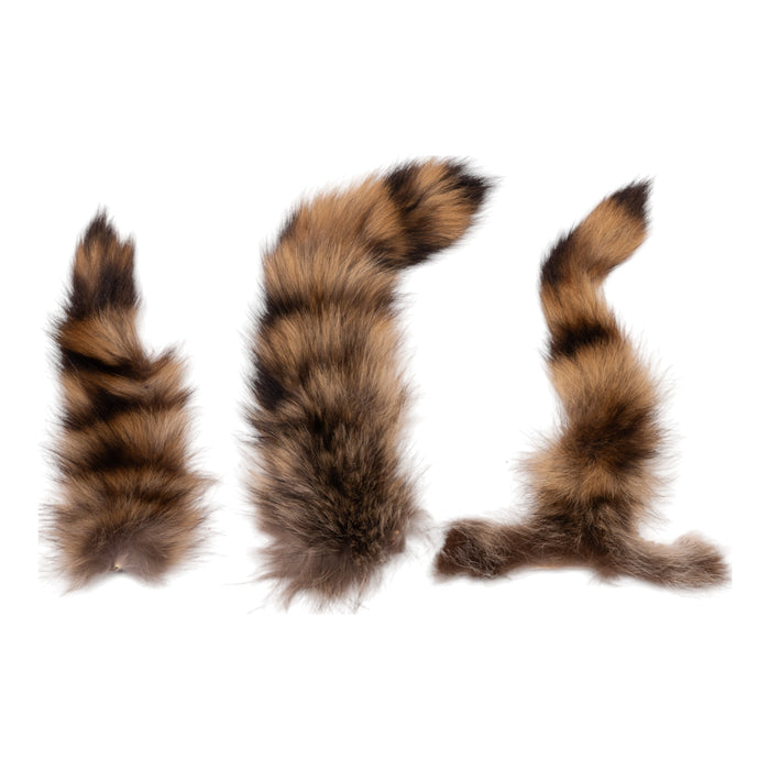 Real Raccoon Tail Hide - Single