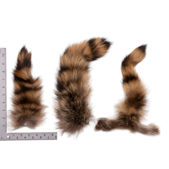 Real Raccoon Tail Hide - Single