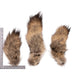 Real Tail Hide - Assorted Species (Single)