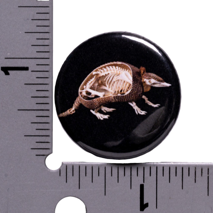 SKELETONS: Museum of Osteology Skulls and Skeletons Button - Single