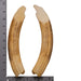 Replica Hippopotamus Teeth - Full Set of 12