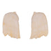 Replica Hubb's Beaked Whale Teeth - Pair