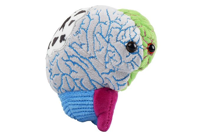 GIANTmicrobes Bipolar Plush