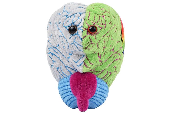 GIANTmicrobes Bipolar Plush