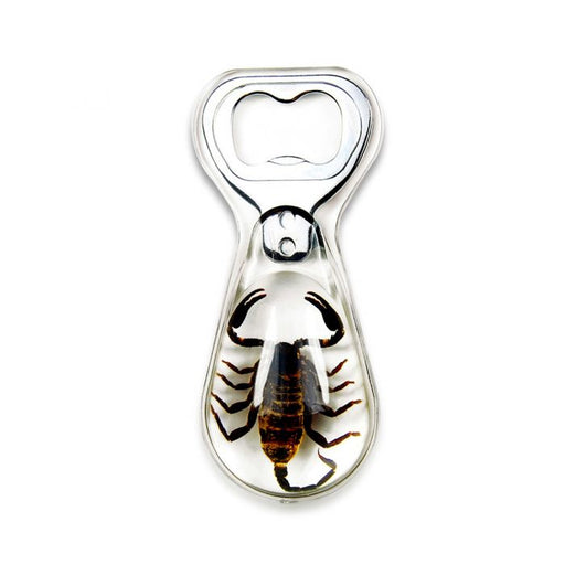 Real Black Scorpion in Acrylic Bottle Opener