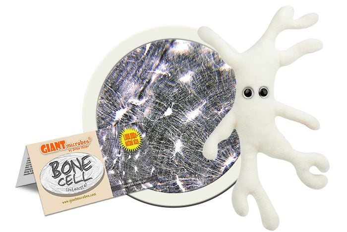 GIANTmicrobes Bone Cell Plush