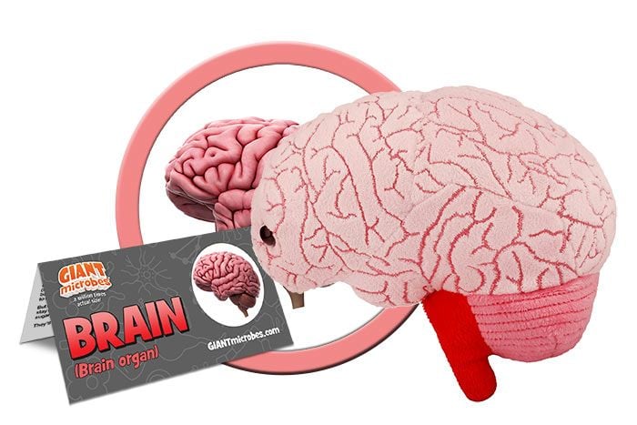 GIANTmicrobes Brain Plush