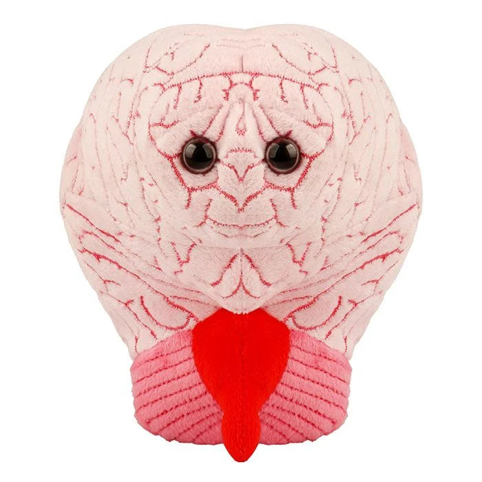 GIANTmicrobes Brain Plush