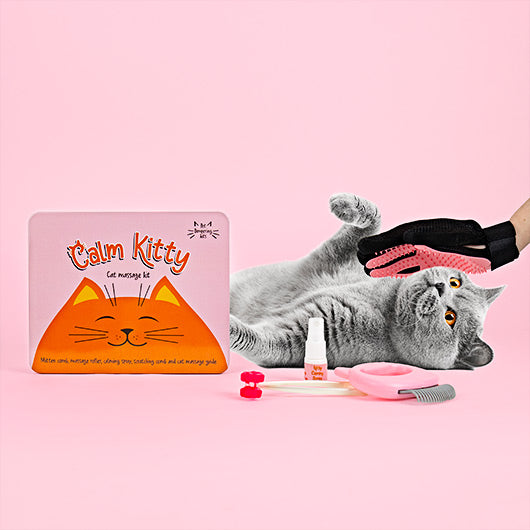 Calm Kitty Cat Massage Kit