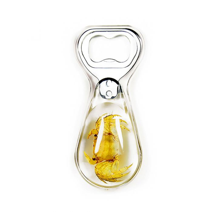 Real Crab in Acrylic Bottle Opener