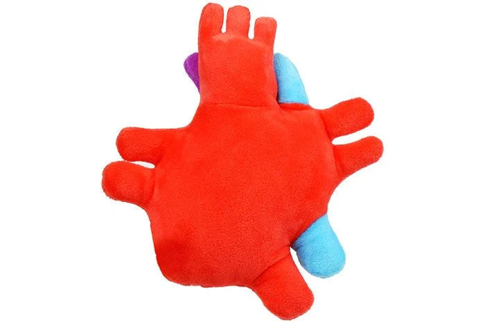 GIANTmicrobes Heart Plush