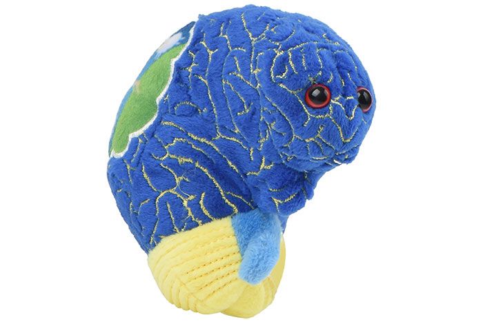 GIANTmicrobes Insomnia Plush