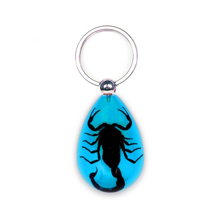 Real Black Scorpion in Acrylic Keychain