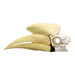 Replica Black Hornbill Skull