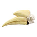 Replica Black Hornbill Skull