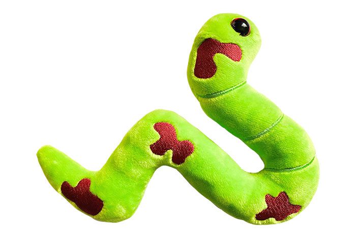 GIANTmicrobes Ringworm Plush