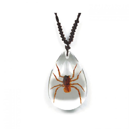 Real Spider in Acrylic Necklace