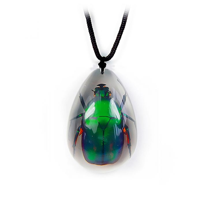 Real Green Chafer Beetle in Acrylic Necklace