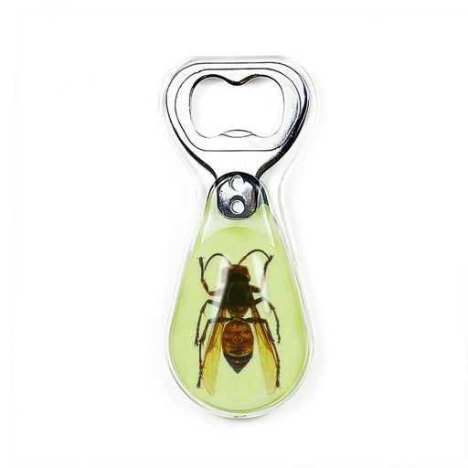 Real Wasp in Acrylic Bottle Opener