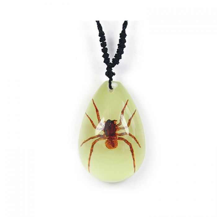 Real Spider in Acrylic Necklace