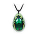 Real Green Chafer Beetle in Acrylic Necklace