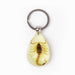 Real Golden Scorpion in Acrylic Keychain