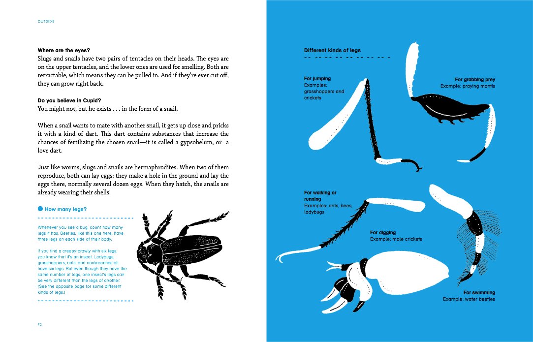 "Outside: Discovering Animals" by Maria Ann Peixe Dias, InÃªs Teixeira do Rosario, and Bernardo P. Carvalho