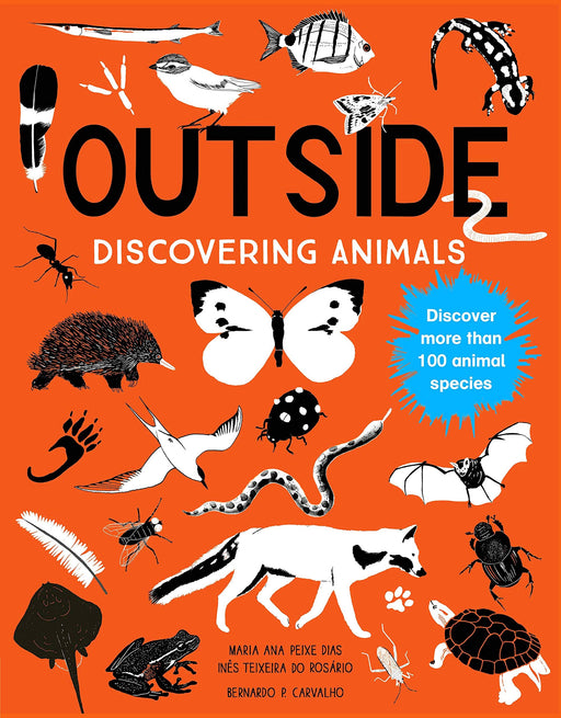 "Outside: Discovering Animals" by Maria Ann Peixe Dias, InÃªs Teixeira do Rosario, and Bernardo P. Carvalho