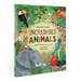 Barefoot Books Incredible Animals: Hardcover