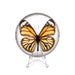 Real Common Tiger Butterfly in Acrylic Dome Paperweight