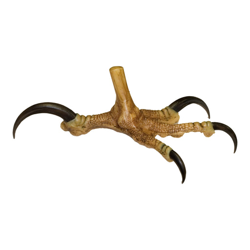 Replica Bald Eagle Foot, Open (21cm)