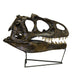 Replica Allosaurus Skull (Actual Size)