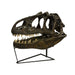 Replica Allosaurus Skull (Actual Size)