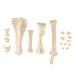 Real Bag-O-Miniature Horse Bones