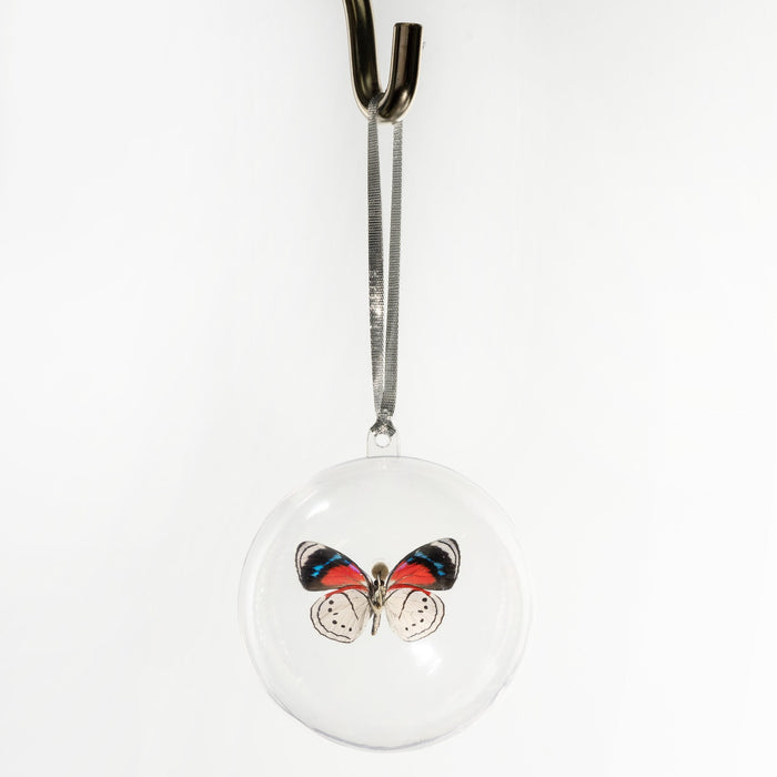 Real Pericloud Butterfly Globe Ornament