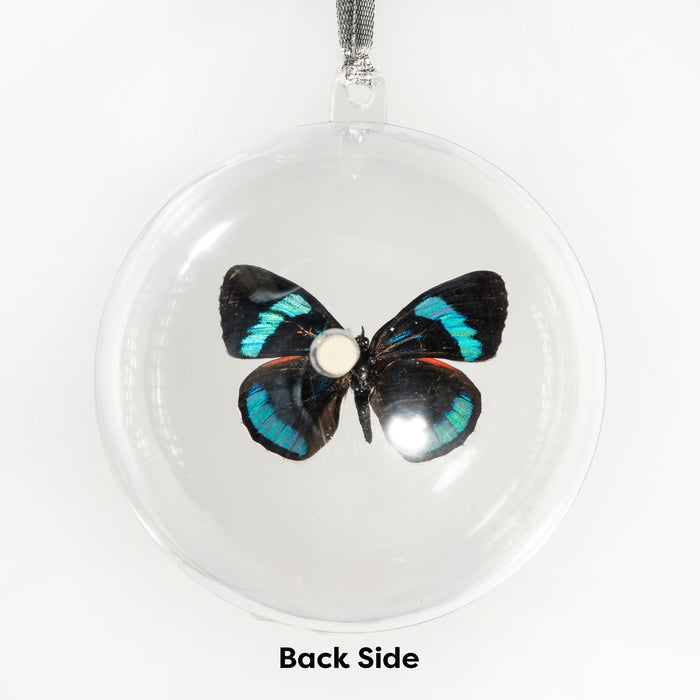 Real Pericloud Butterfly Globe Ornament