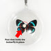 Real Pericloud Butterfly Globe Ornament