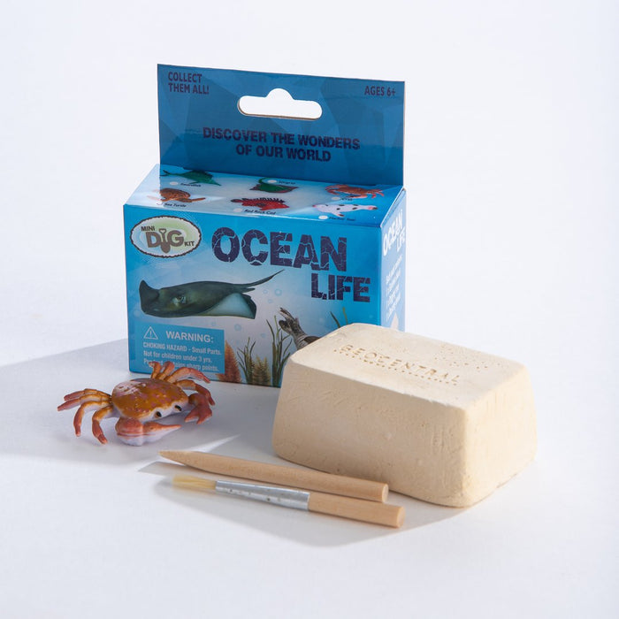 Ocean Life Mini Excavation & Assembly Kit