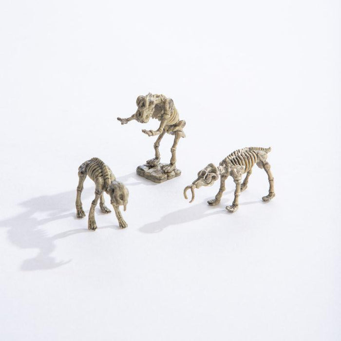 Ice Age Animals Dig Kit