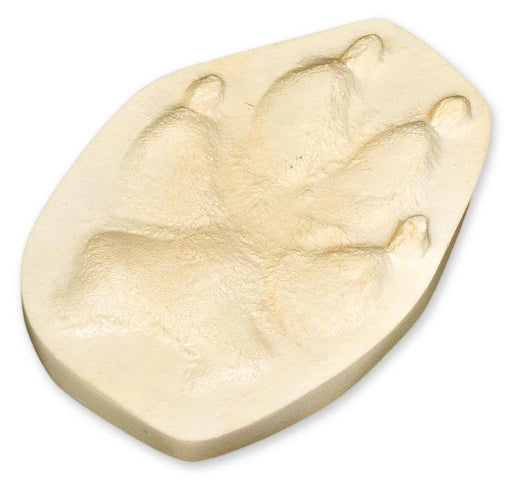 Gray Wolf Negative Footprint