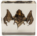 Real Bat in Acrylic Display (Small)