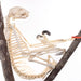 Real Sloth Skeleton - Articulated