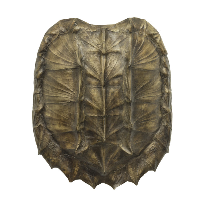 Antique American Alligator Snapping Turtle Shell Sold At, 57% OFF