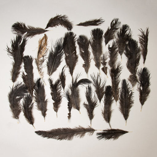 Real Bag-O-Ostrich Feathers