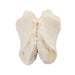 Real Pig Proboscis Bone